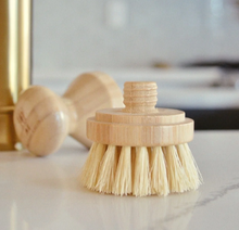 Load image into Gallery viewer, Scrub Brush Replacement Heads